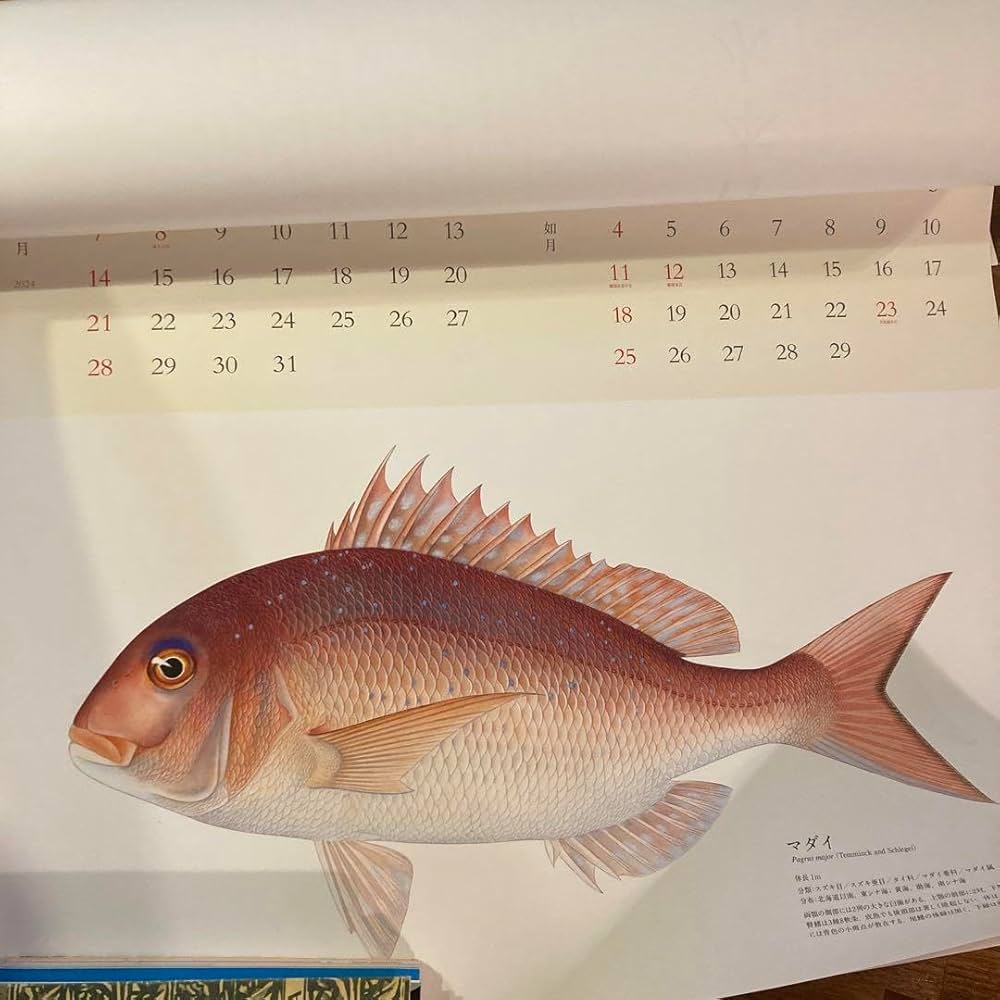 Amazon.co.jp: ニッスイ 日本水産魚譜カレンダー2024 : 文房具